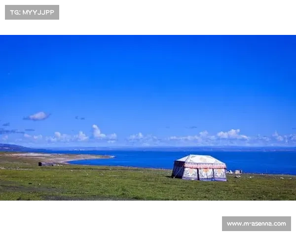 新疆冠军赛丽汗木家庭专访 追梦毡房里的奥运故事与坚韧精神